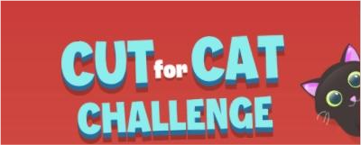 Cut For Cat Challenge gameplay screenshot 3